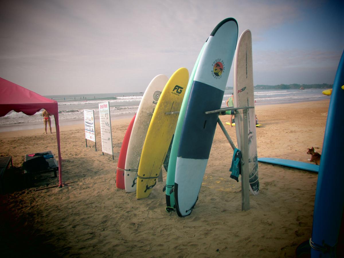 Soul Surfer - Weligama Hostel Eksteriør bilde